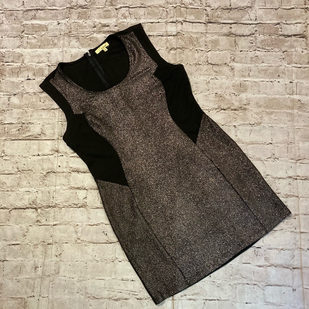 🔥 NWOT Cecilia Black/metallic sleeveless detailed, mini party dress L